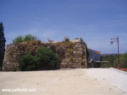  أيام نكبة| "بيت دجّن" قرية ساحلية فلسطينية قضاء يافا .. تعرّف عليها